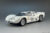 1/24 Chaparral 2D SEBRING 1966 by TARGA models